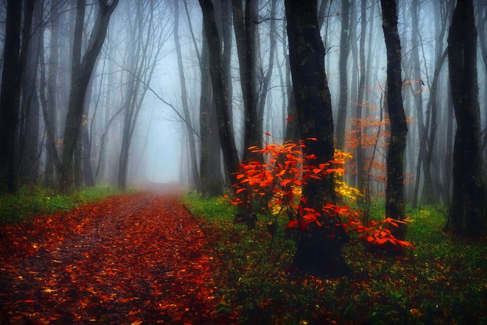 Photograph by  Владимир