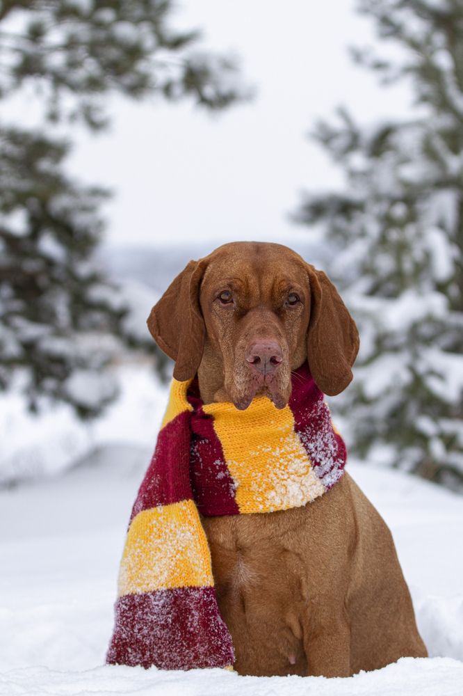 Photograph by Эльнара Исаева