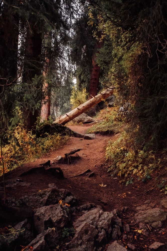 Photograph by Алексей Баженов