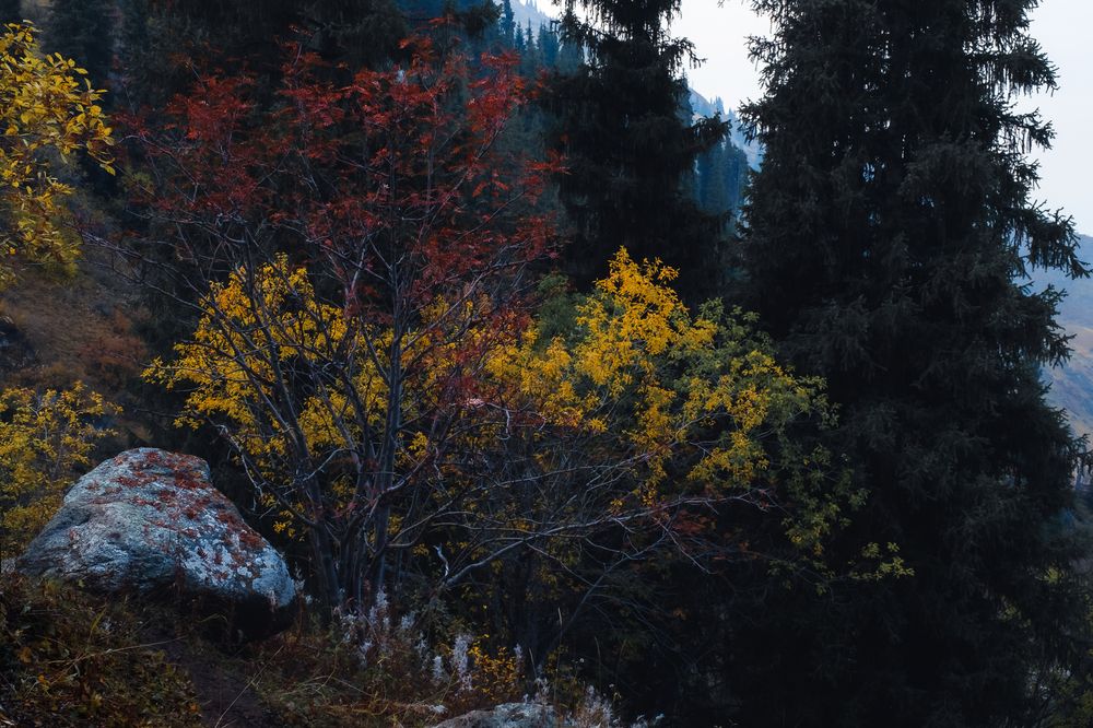 Photograph by Алексей Баженов