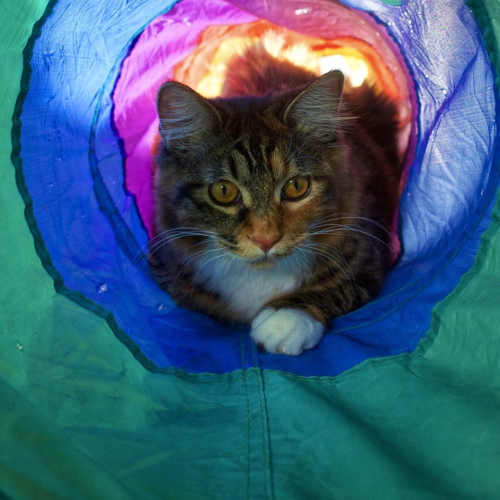 Photograph by Артемий