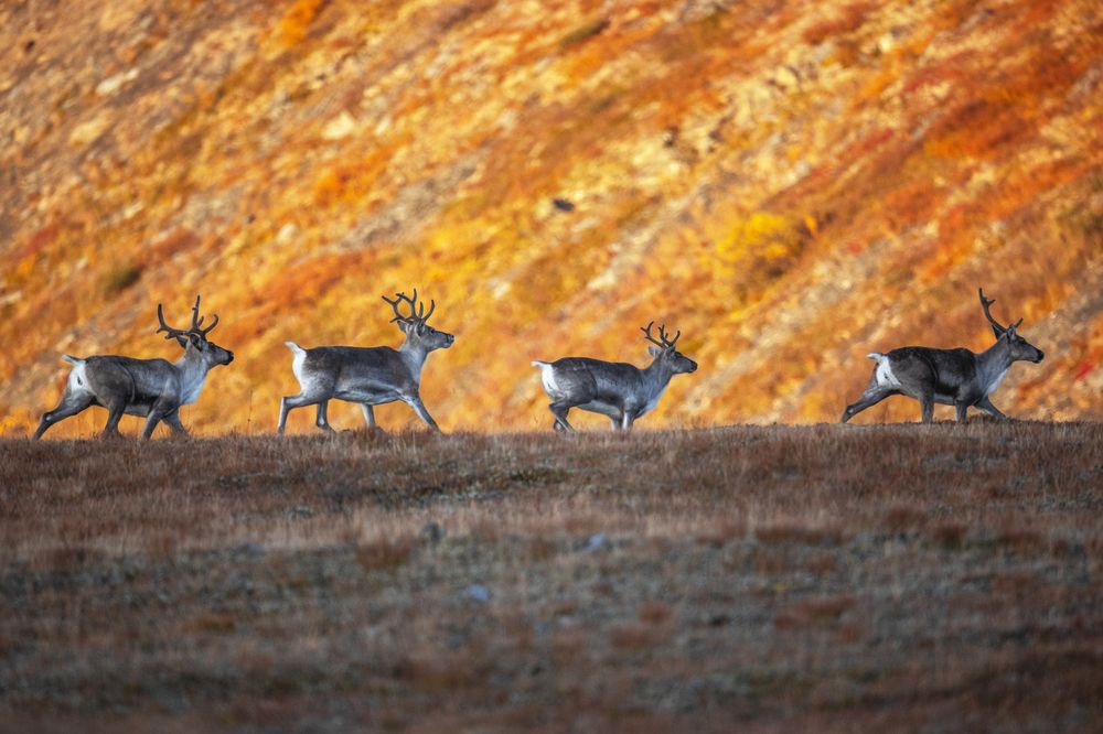 Photograph by Владислав Костылев