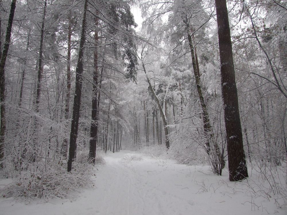 Photograph by Игорь Криулин