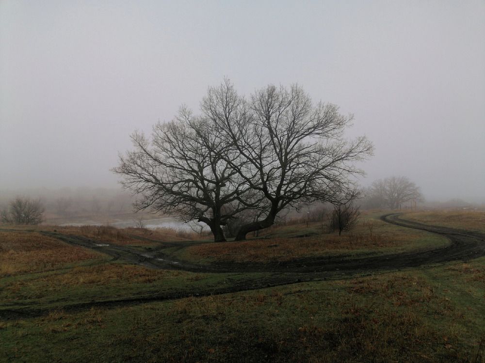 Photograph by Анжелика