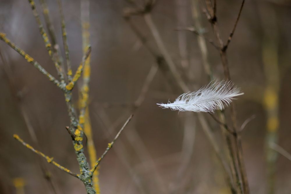 Photograph by Унку Юрий