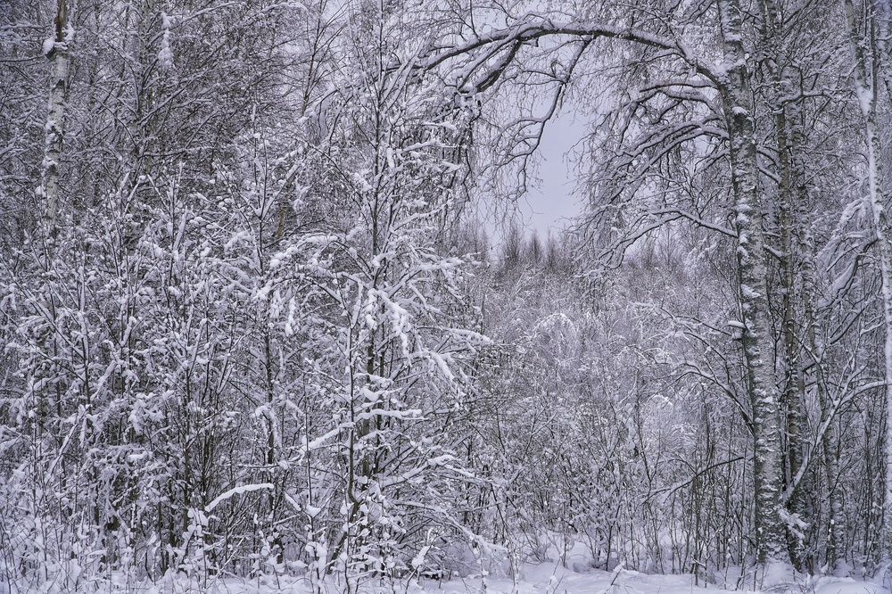 Photograph by Марина Безенкина