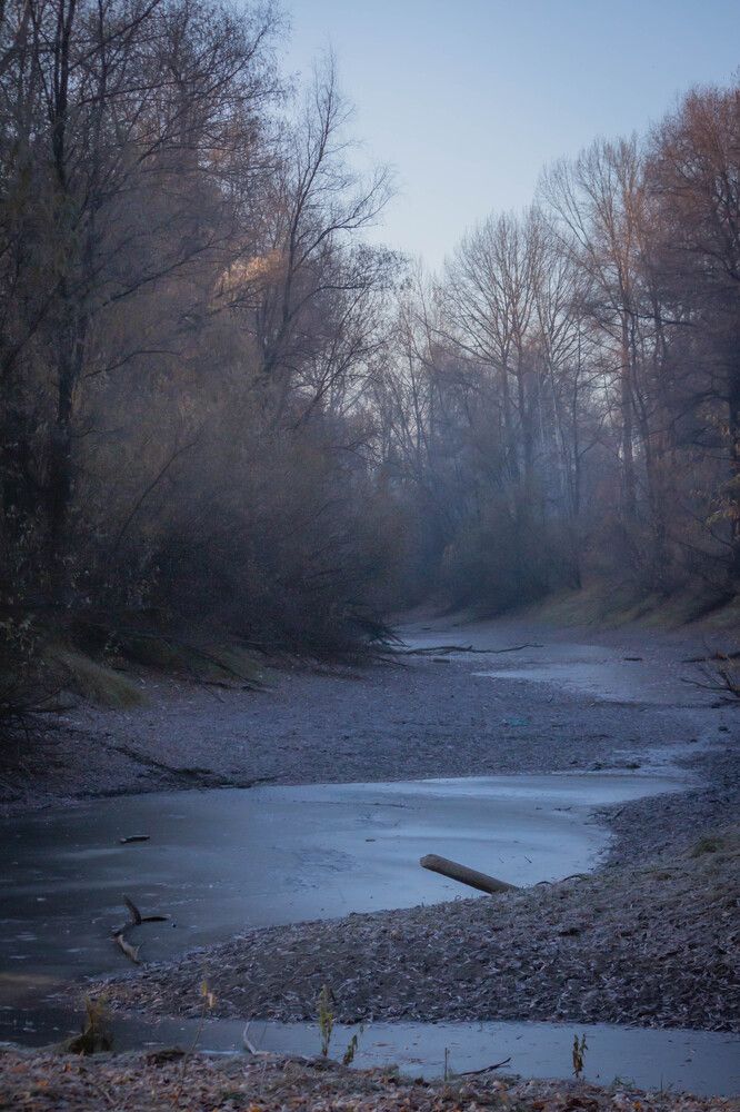 Photograph by Ольга Ильина