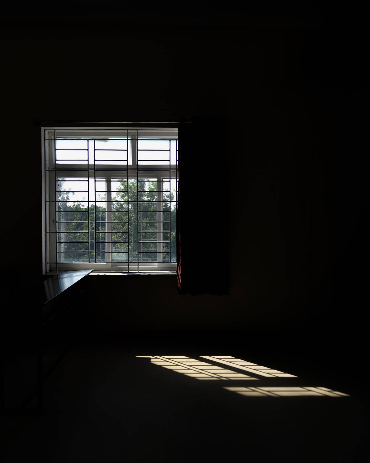 Photo #11836398