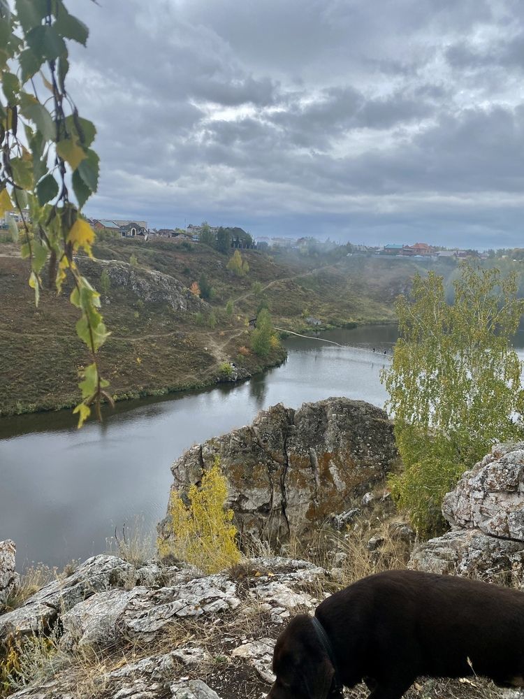 Photograph by Лапаева Наталья