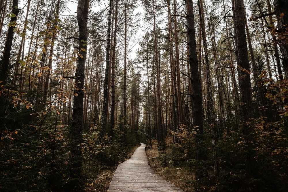 Photograph by Андрей Шелуков