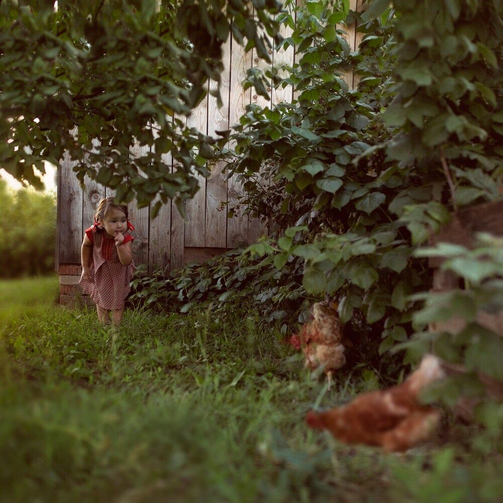 В деревне у бабушки