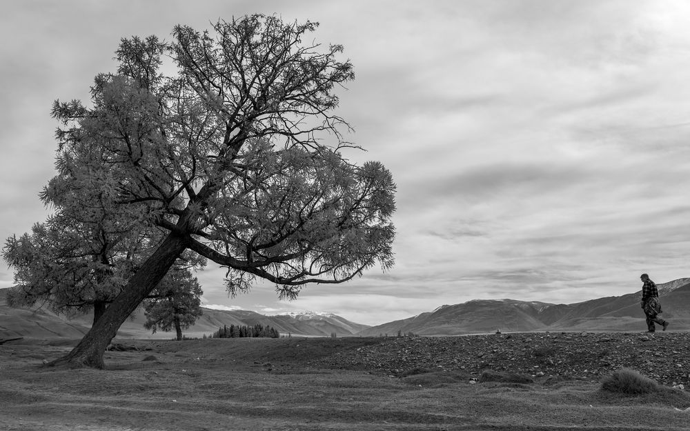 Photograph by Ирина Кудрина