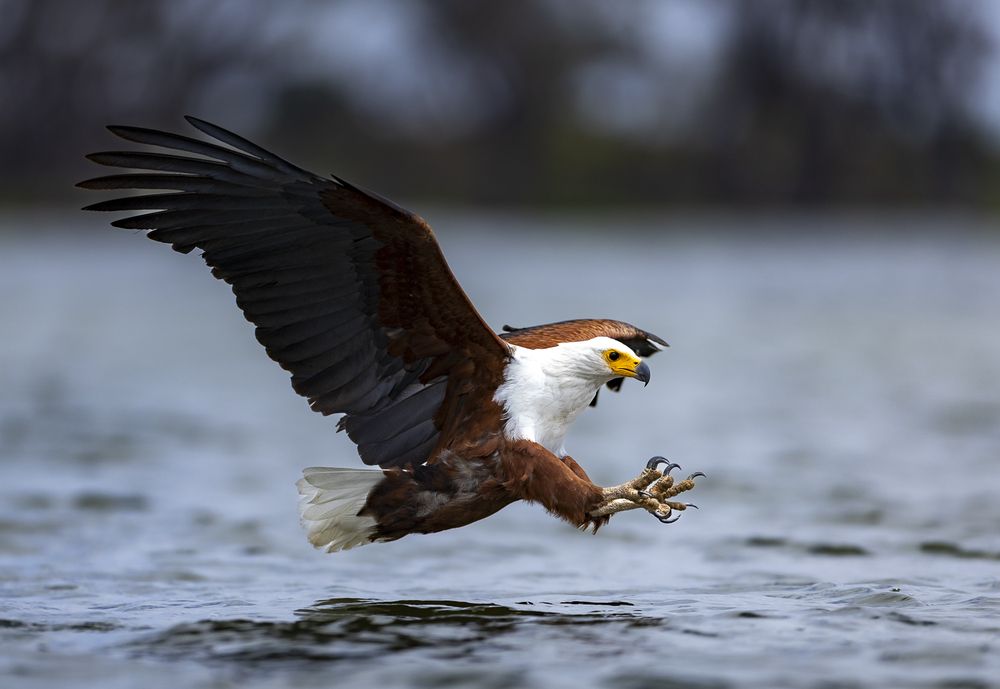 Photograph by Pothanis Sudhir