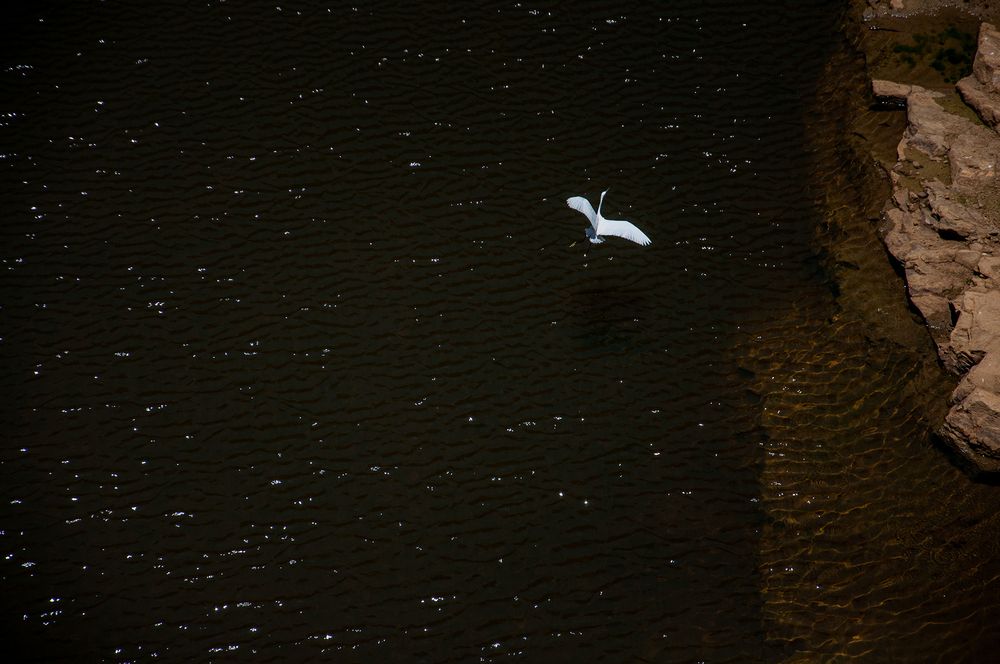 Photograph by Chamara Sulakkhana Polwatta Siriyalage