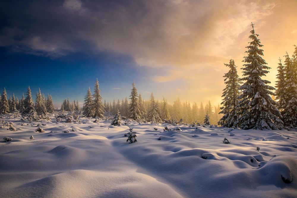 Photograph by levi bagy