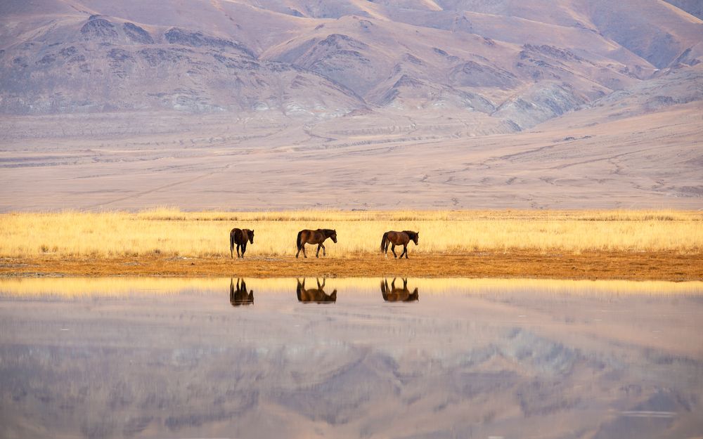 Photograph by Ирина Кудрина