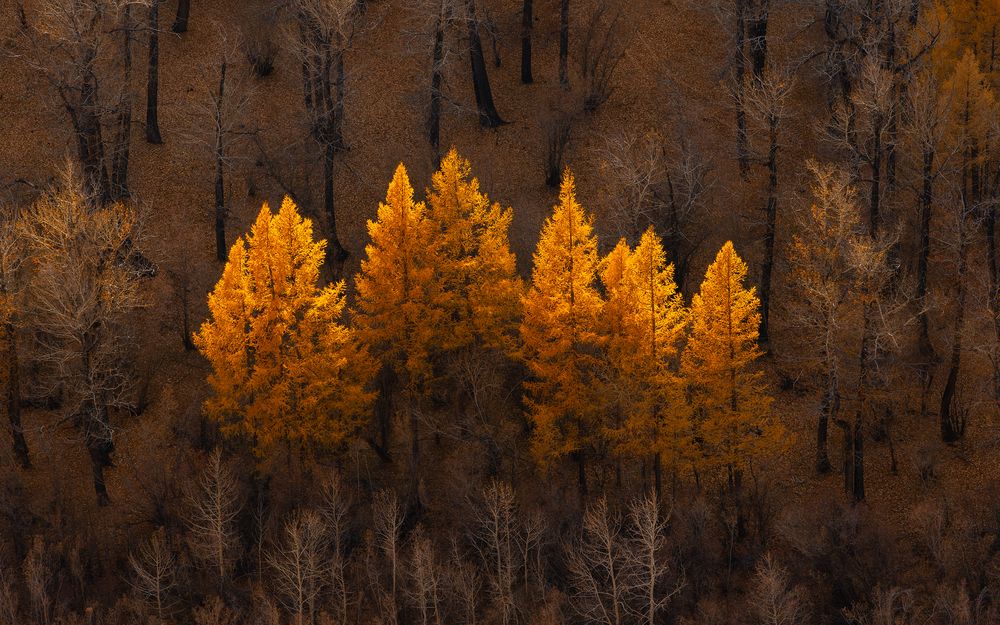 Photograph by Ирина Кудрина