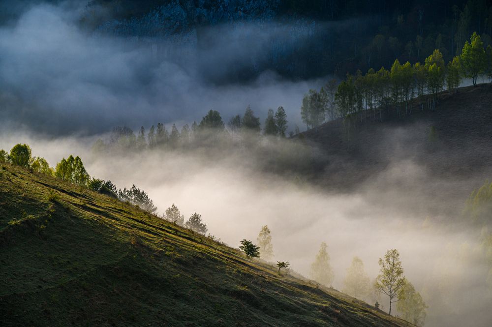 Photograph by levi bagy