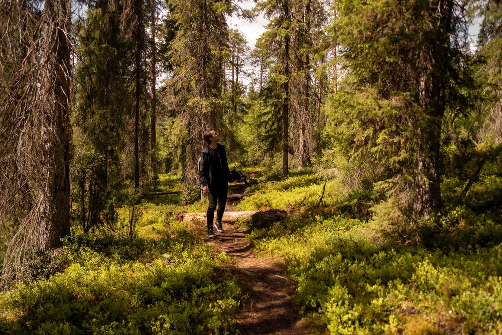 Photograph by Ксения Рябухина