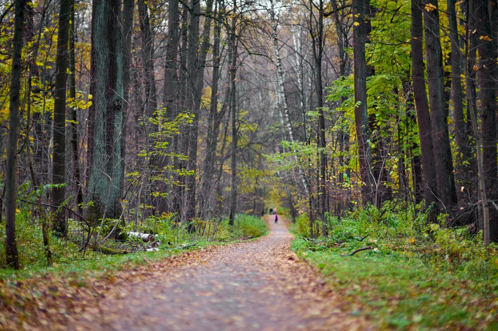 Photograph by Игорь Кад