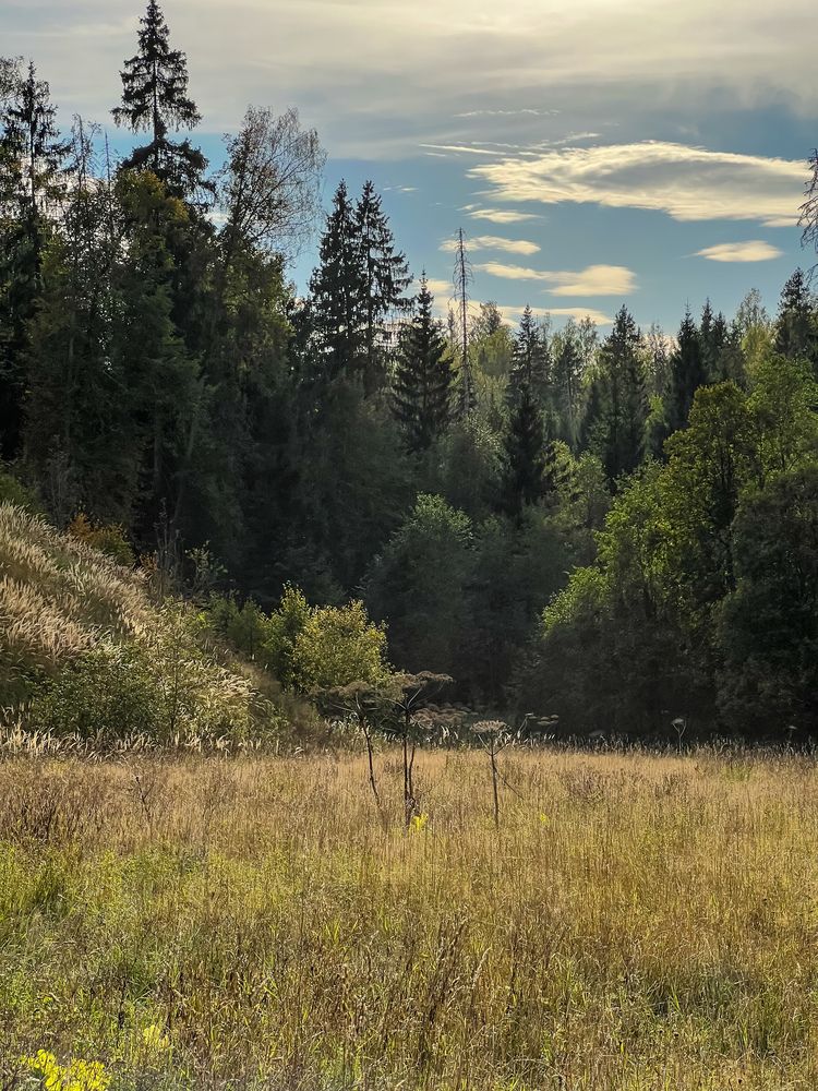 Photograph by Михаил Сорокин