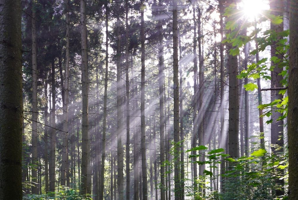 Photograph by Виктория Лаврова