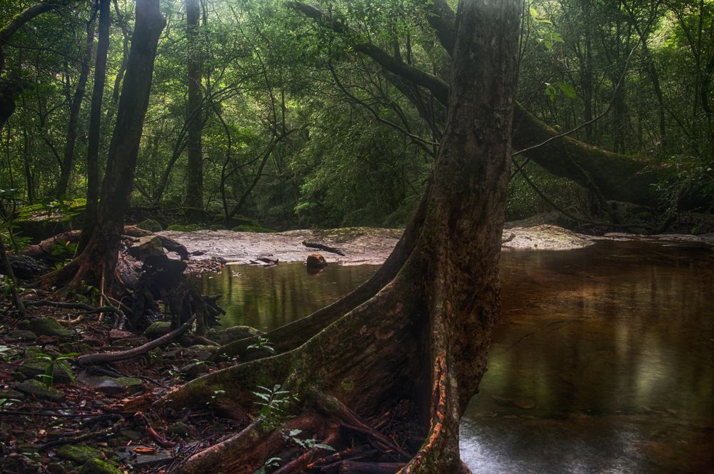 Photograph by Chamara Sulakkhana Polwatta Siriyalage