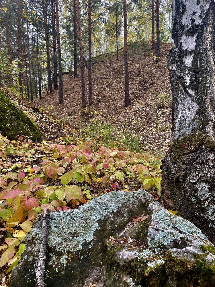 Photograph by Лапаева Наталья