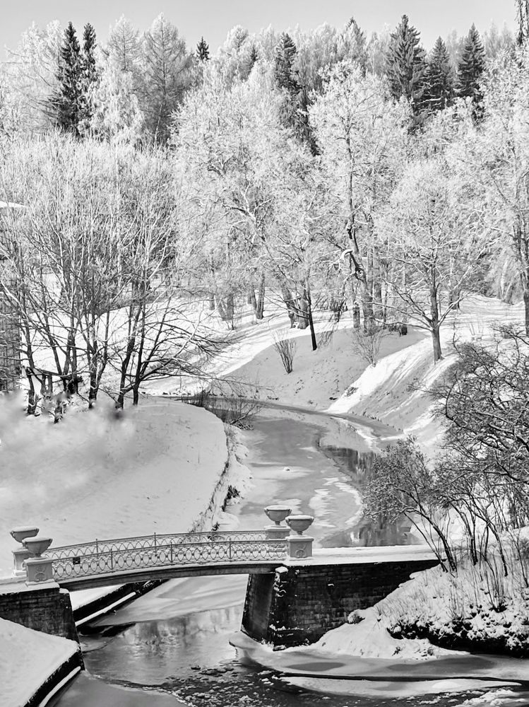 Photograph by Титаренко Людмила