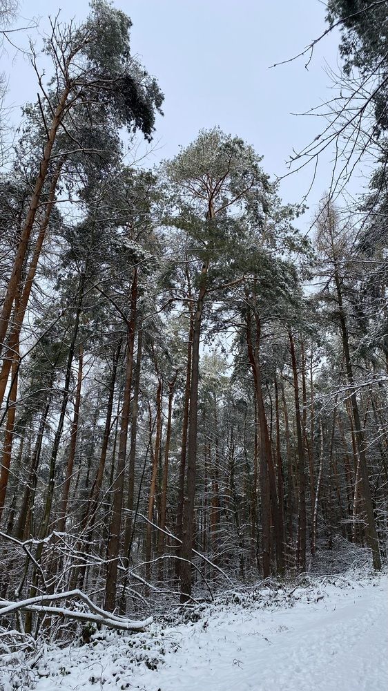 Photograph by Tatjana Schlag