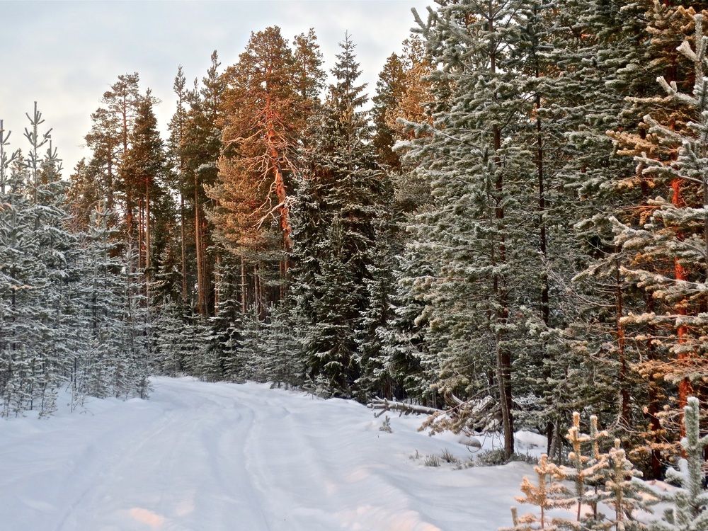 Photograph by Елена Жукова