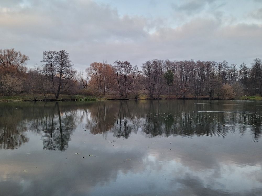 Photograph by Елена
