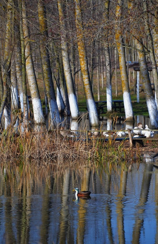 Photograph by Süleyman Ülker
