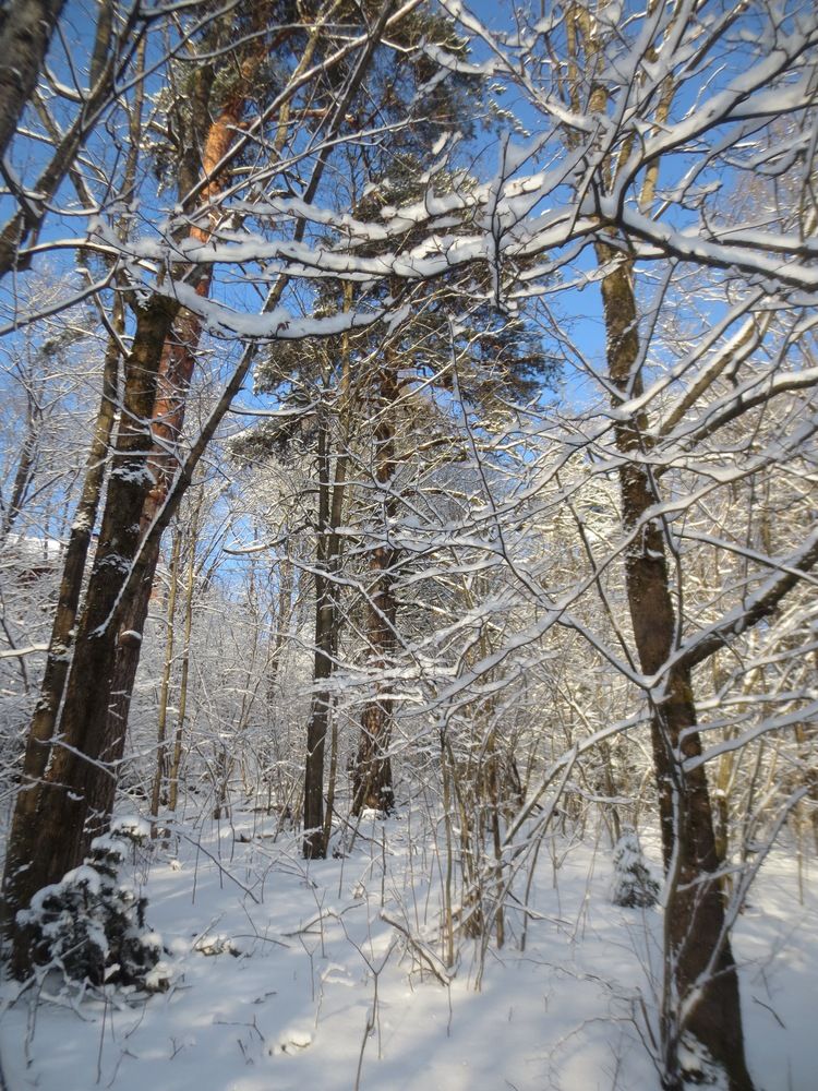 Photograph by Елена Жукова