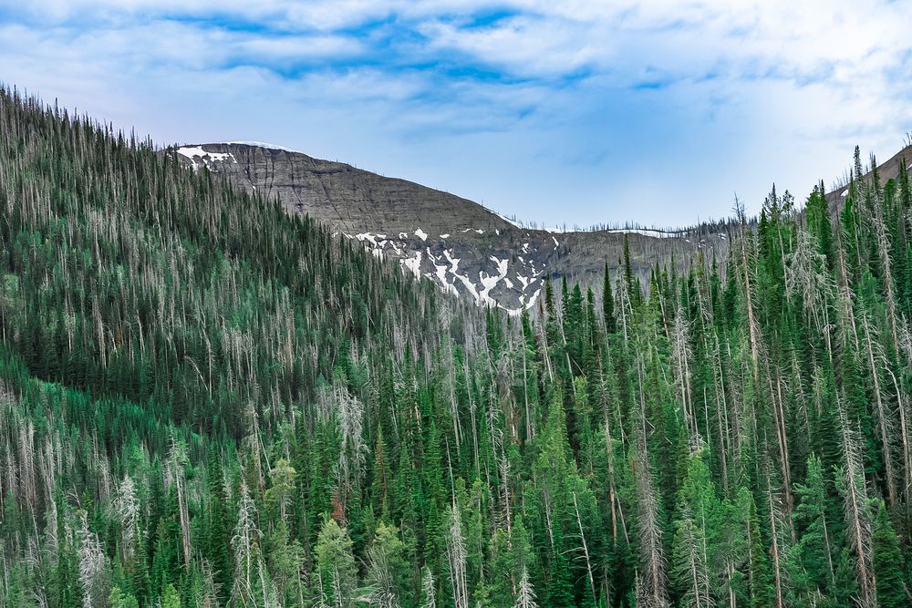 Фотография автора Роман Крижанівський