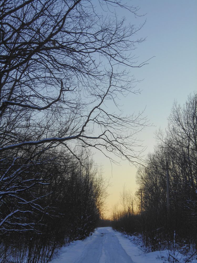 Photograph by Александр Новокрещенов