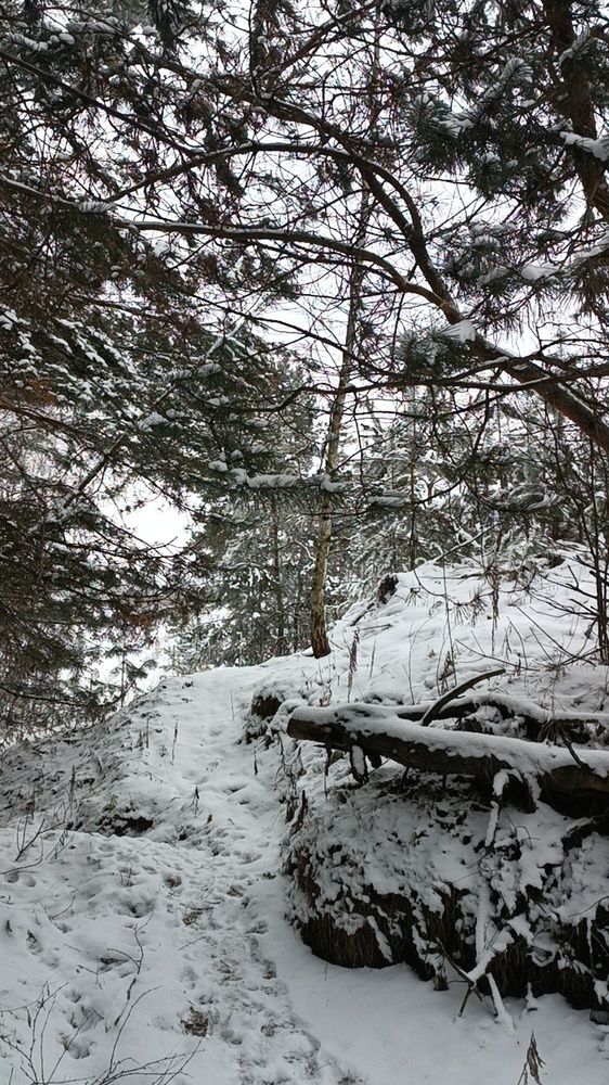 Photograph by Ксения Уварова