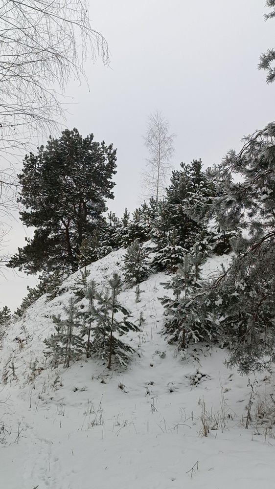 Photograph by Ксения Уварова