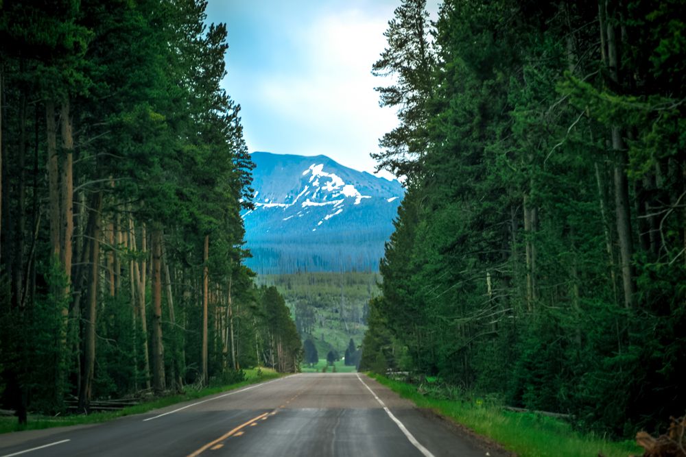 Фотография автора Роман Крижанівський