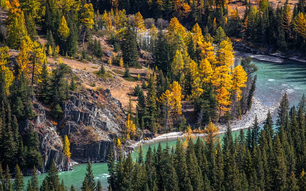 Photograph by Devender Mark