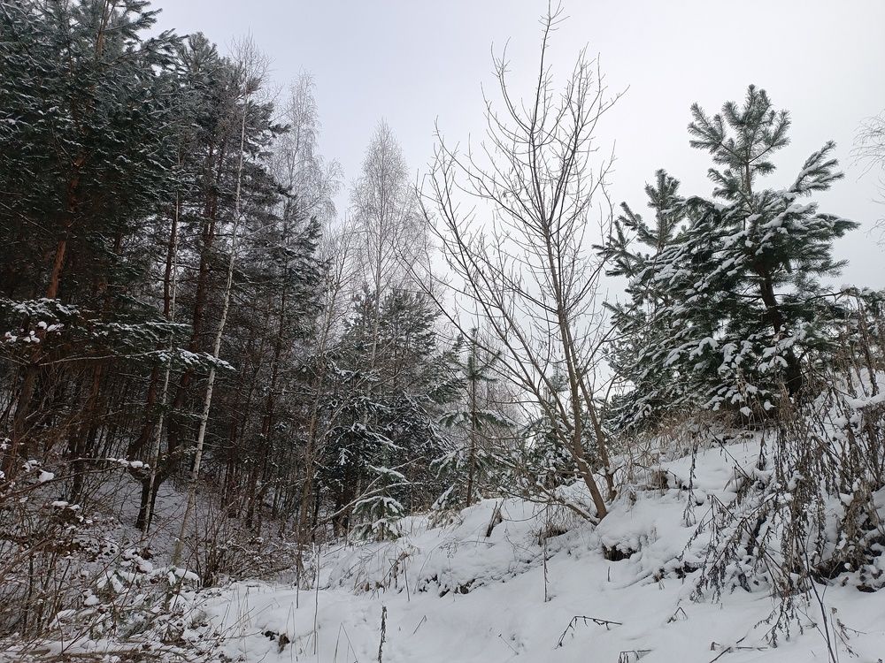 Photograph by Ксения Уварова