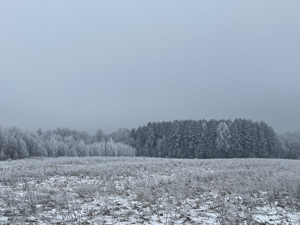 Photograph by Ирина Артюх
