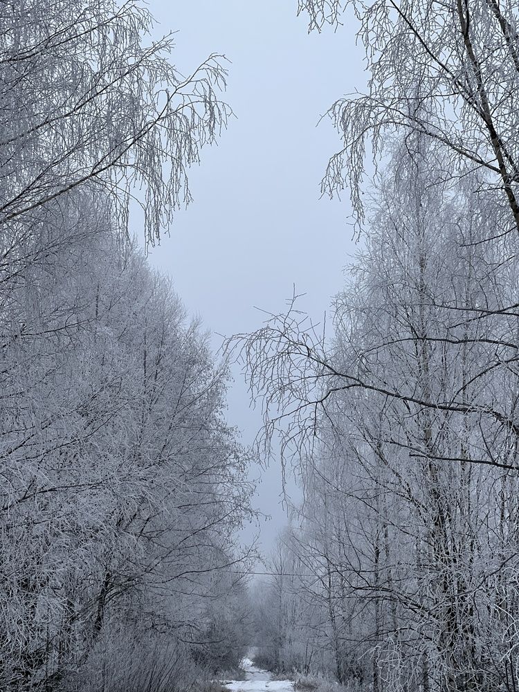 Photograph by Ирина Артюх