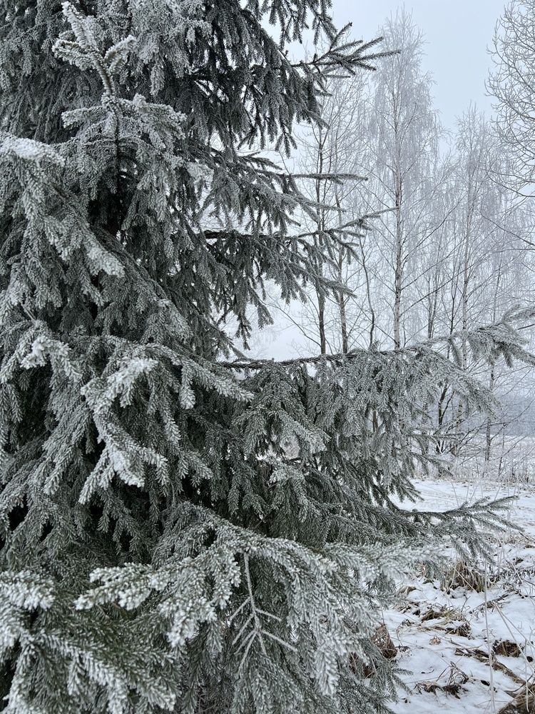 Photograph by Ирина Артюх