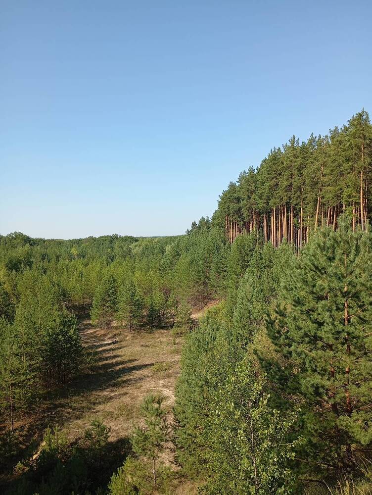 Photograph by Александр Новокрещенов