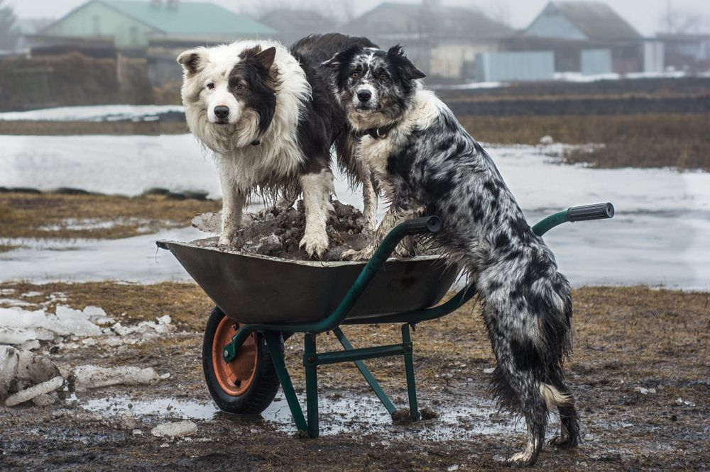 Photograph by Сергей Степанов