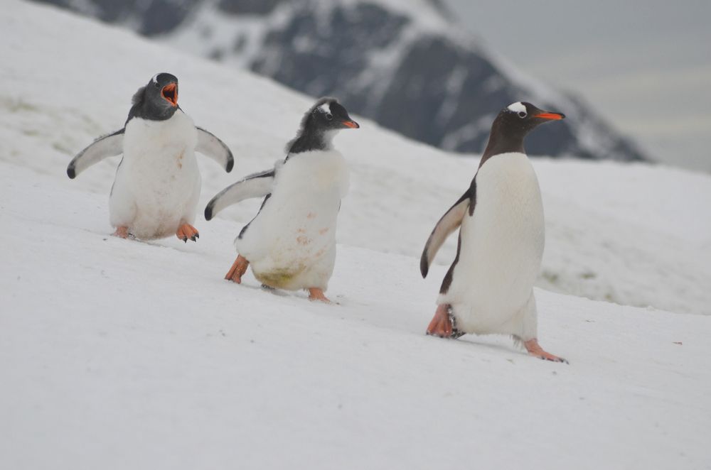 Photograph by Tamara Karelí Mori César