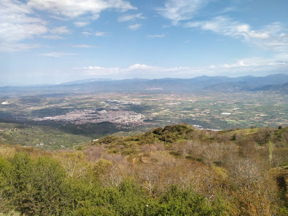 Photo #11836757