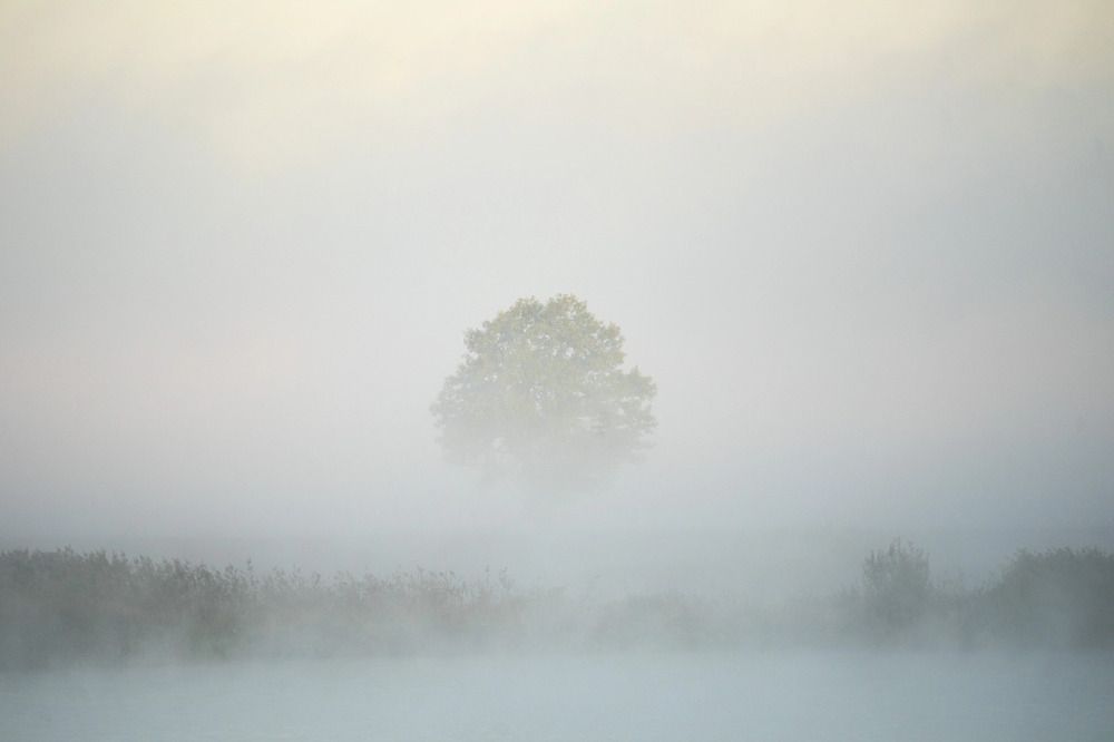 Photograph by Алексей Глухов