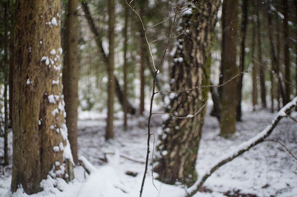 Photograph by Лена Максимкина